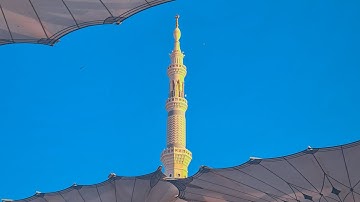 تلاوة خاشعة لفضيلة الشيخ أحمد الحذيفي من صلاة الفجر في المسجد النبوي الشريف ١٤ ذي الحجه ١٤٤٤هـ