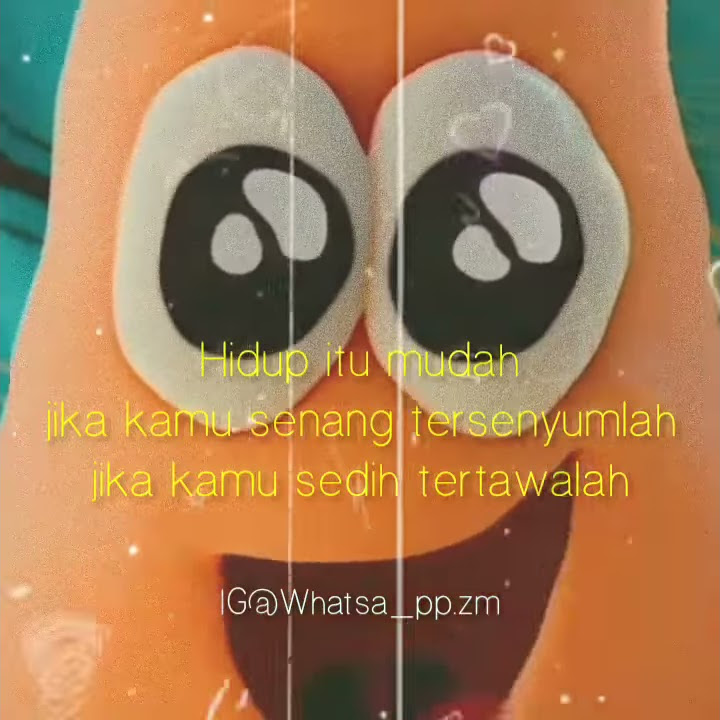Snap wa Spongebob terbaru