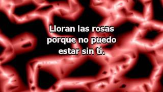 Lloran las Rosas (con letra) - Cristian Castro (Karaoke)