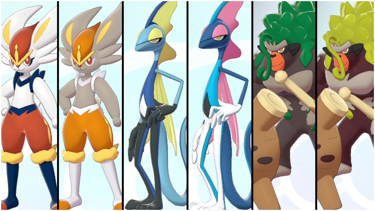 Breaking Down the Evolution: Starter Pokemon's Transformations in Sword and  Shield! 