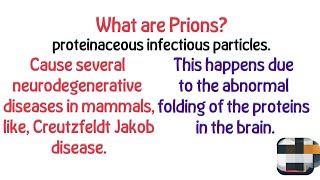 Prions Creutzfeldt Jakob Disease