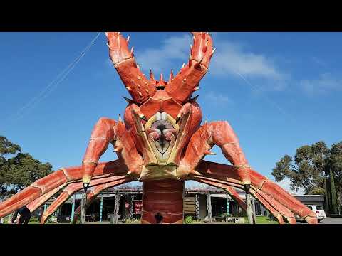 Larry The Giant Crab Kingston SE, South Australia 🇦🇺