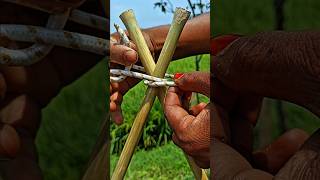 Village Life Rope Knot Trick You Must See!