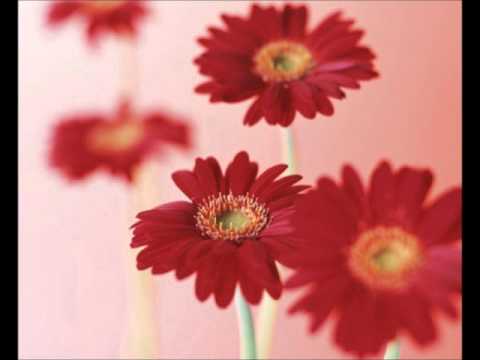 カラオケ録音 笑顔の行方 Dreams Come True Youtube