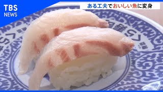 くら寿司、駆除対象の魚がおいしい寿司種に