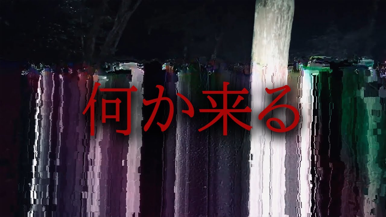 【心霊】深夜の山中で乱れる映像　その時何か来た....【貧乏中年TV】