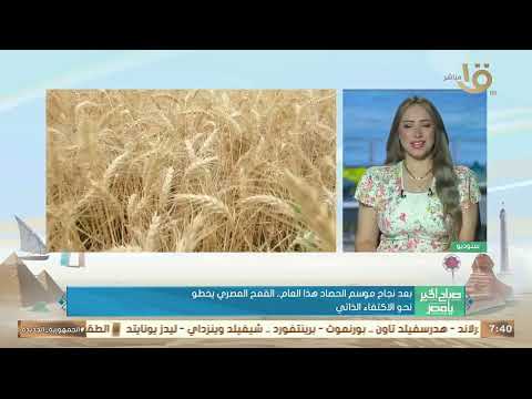 مصر تقترب من تحقيق الاكتفاء الذاتي من القمح بنسبة70 بحلول 2030 د إبراهيم عبد الهادي يكشف الأسباب