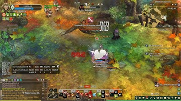 TOS Fencer After Patch Steam