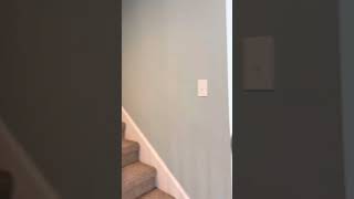 LOOK👀 Short preview of 15628 Trinity Fall Way Bradenton FL pool home 2 owner suites…@edwardbieker