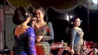 SELENDANG BIRU - VIDIA ANTAVIA All Artis || CS KALANJANA  || BERSIH DUSUN SEMANU 2024