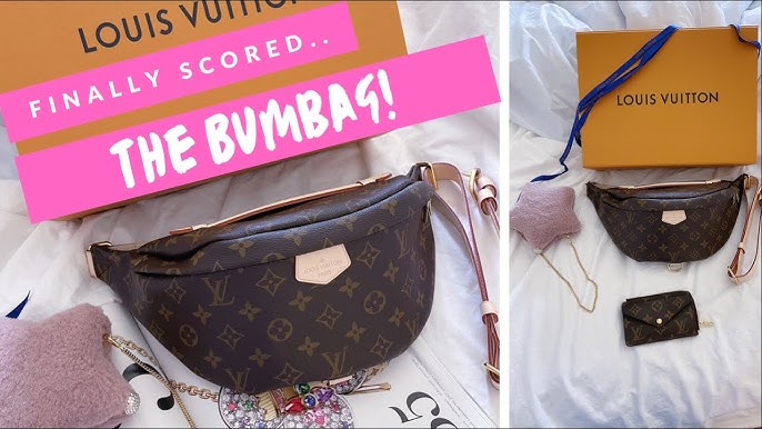 Quick Louis Vuitton Bag Update! Can't Believe it Broke! 