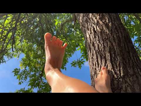 Relax barefoot in the forest. Be filled with the energy of the tree