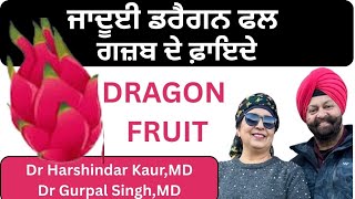 621 - Dragon fruit! ਜਾਦੂਈ ਡਰੈਗਨ ਫਲ ! ਗਜ਼ਬ ਦੇ ਫ਼ਾਇਦੇ !!