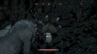 Skyrim Easy High Elf Blood Harvest Location / Discerning the Transmundane screenshot 3