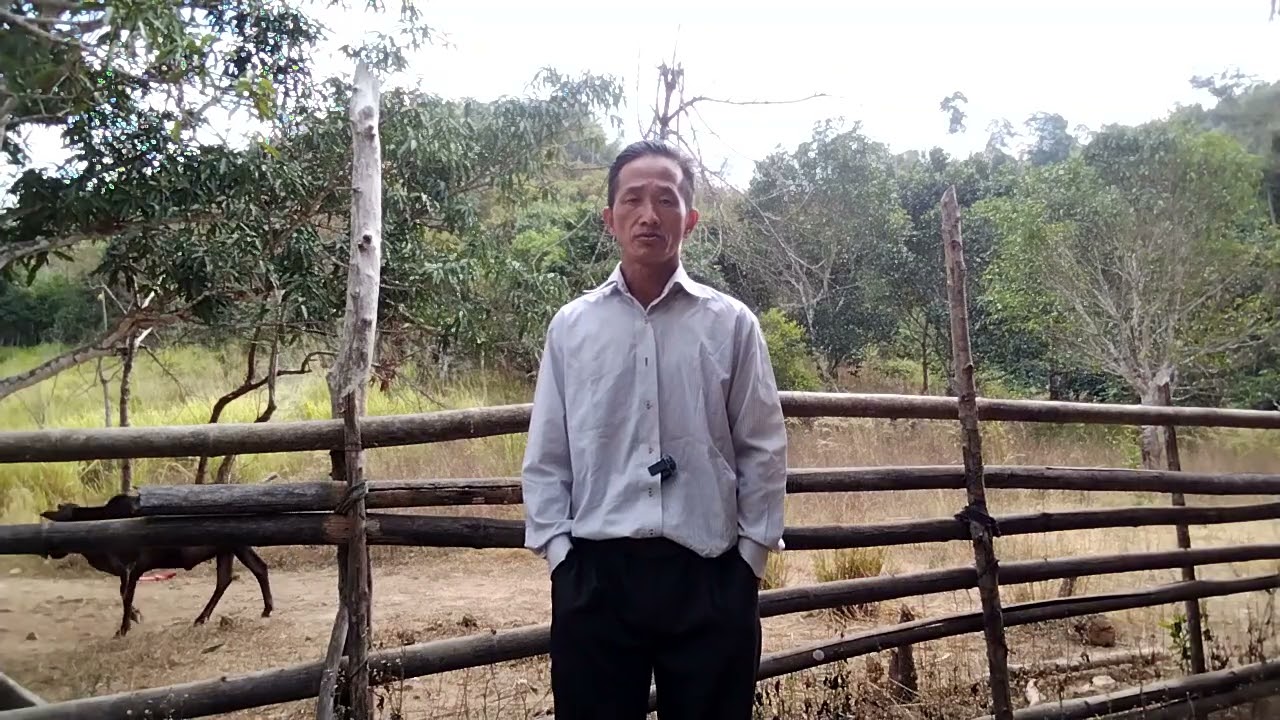 Tooj xwm vwj zaj tshoob cob khoom ntoj ntws rau nkauj nyab nraug vauv 6/1/2026!