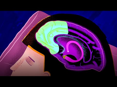 How sleep affects your emotions | Sleeping with Science, a TED series