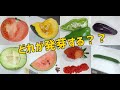 スーパーで買った野菜(果物)の種を植えたら発芽する？？ /The vegetables bought in the supermarket will sprout??