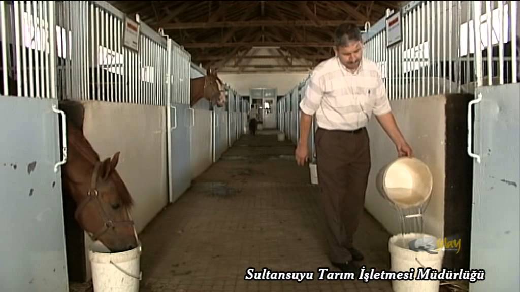 TİGEM AT BELGESELİ 2 Bölüm