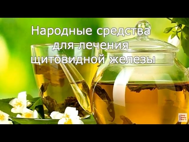 Лечим щитовидную железу народными средствами гипотиреоз, гипертиреоз