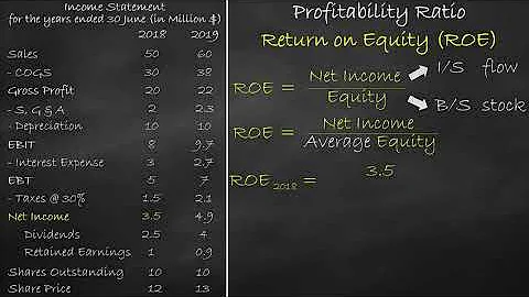 Profitability Ratio - Return on Equity