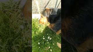 Vid 20210415 1214551