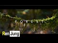 FOREST | Cinematic Video (SelflessLove)