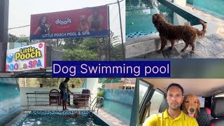 Dog Swimming pool & Spa | Yapral, Balajinagar | Secunderabad | Vlog Hindi