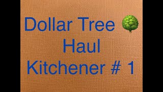 Dollar Tree Haul  Kitchener # 1