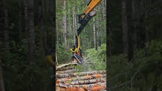 🔥Meet DAUYEE-600HP Tree Harvester Head❗️Max cutting diameter up to 630mm!