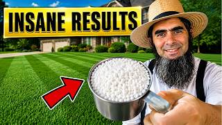 1 Cup of THIS Replaces ANY Premium Lawn Fertilizer Forever - The Trick They Tried to Bury It