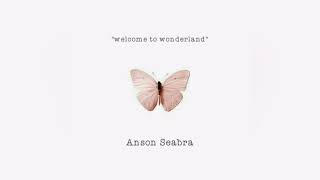 Anson Seabra - WELCOME TO WONDERLAND (audio)
