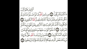 سورة غافر 25 القسم الخامس العشرون تكرار كيفي من .. ثم قيل لهم أين ما كنتم .. إلى .. يرجعون