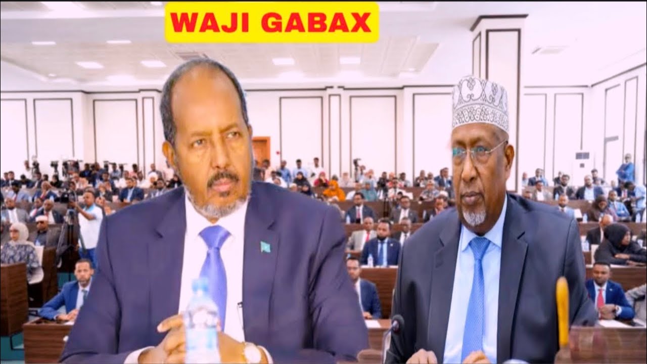 Xogta Xildhibaano iyo Wasiiro Xasan u tagay oo Waji gabax kala,Dastuurka Cusub,Dagaalka Mucaaradka 