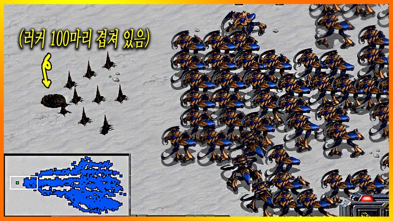 러커 100마리를 겹치면 울트라를 몇마리까지 잡을 수 있을까?? 스타크래프트1 리마스터