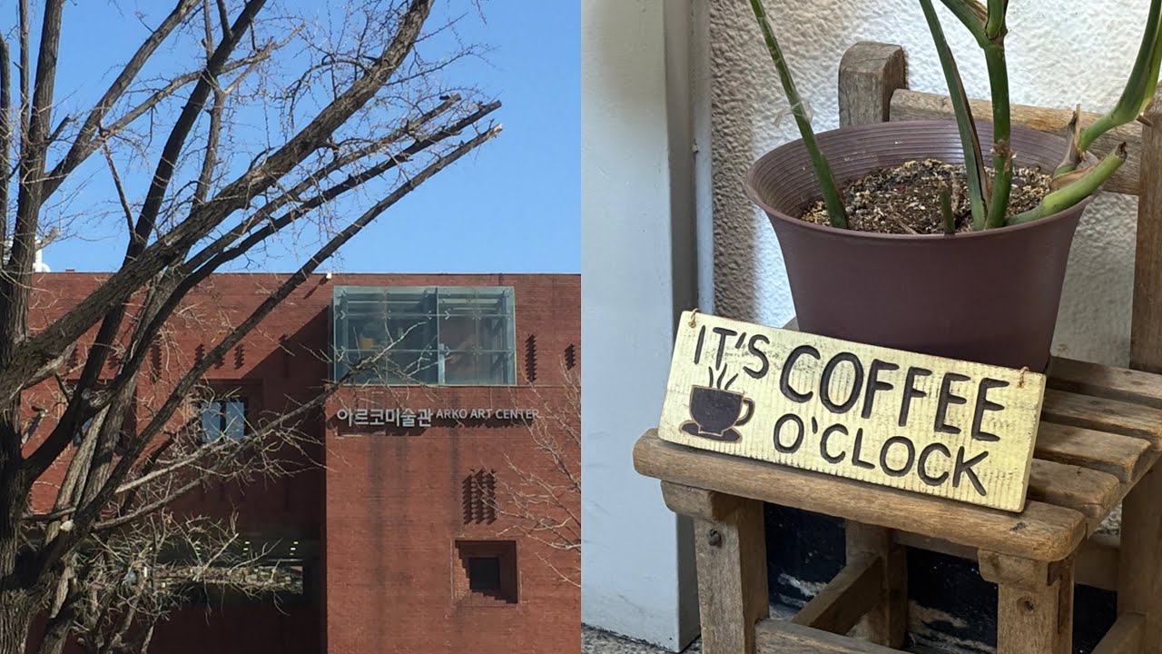 혼자 혜화동, 카페, 창경궁 산책