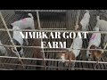 Nimbkar Goat Farm निमकर गोट फार्म visit | Australian Boer Goat बोअर | Phaltan