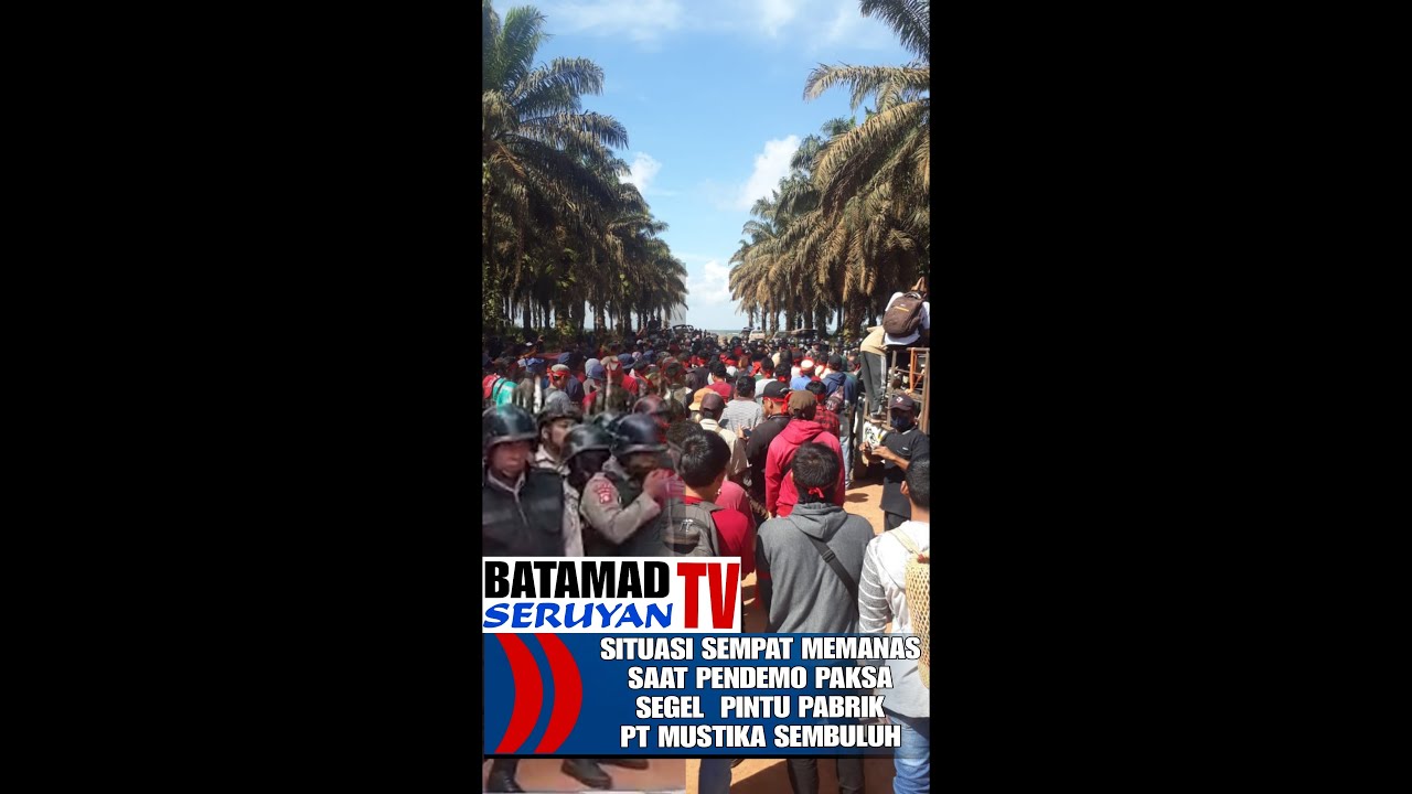 MASYARAKAT DESA BANGKAL SERUYAN  GRUDUK PT MUSTIKA SEMBULUH TUNTUT PLASMA 20%