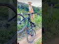 Things are not looking good…wiped out three times already! 😂 #funnypetvideos #cutepets