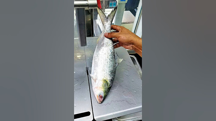 Watch the world famous hilsa fish cutting video very quickly #shorts #fish_laver #fish #short #food