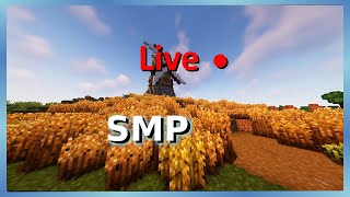 SMP Livestream with bird cam 🦜