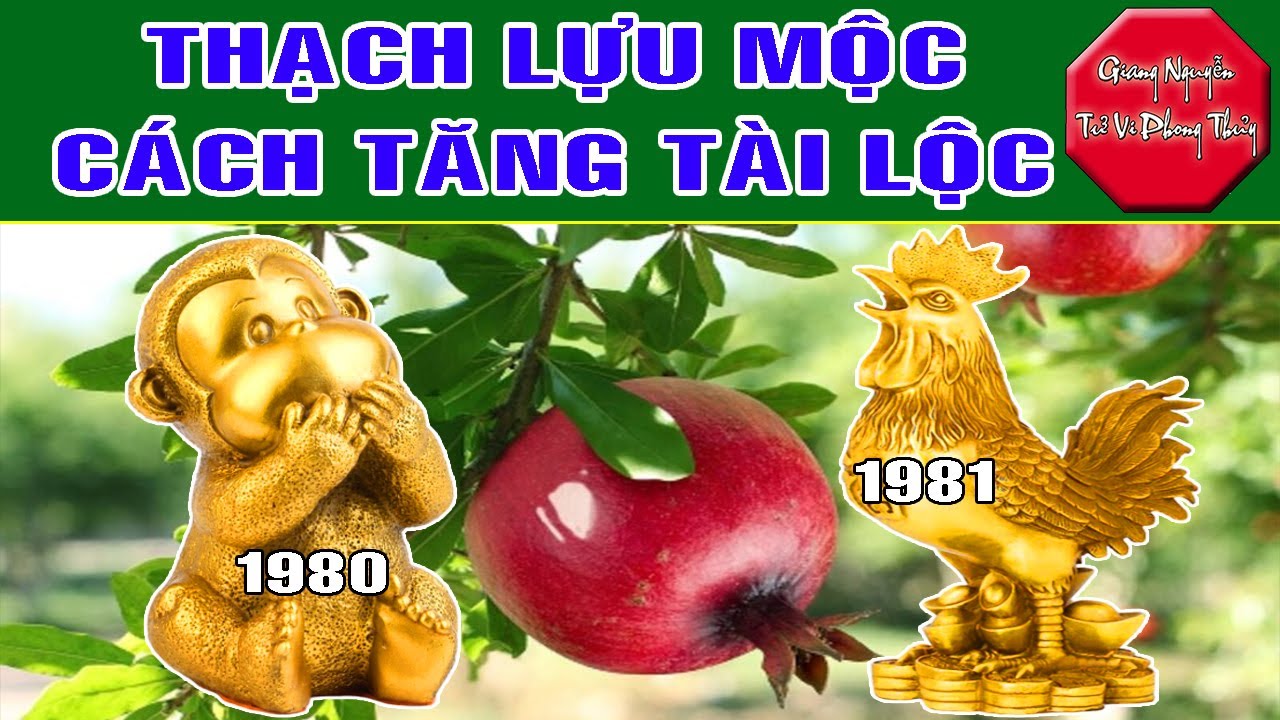 Thạch Lựu Mộc Canh Thân 1980 Tân Dậu 1981 Vững Vàng... - youtube