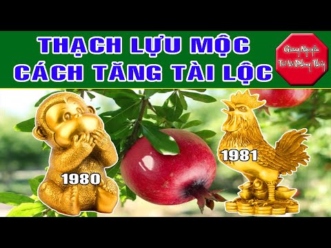 Video Thạch Lựu Mộc Canh Thân 1980 Tân Dậu 1981 Vững Vàng... - youtube