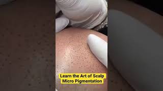 Best Training Academy for Scalp Micro Pigmentation Located in California & North Carolina!