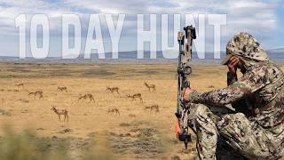 1,000 Antelope, 350 Elk & The Bowhunt that Broke Us…