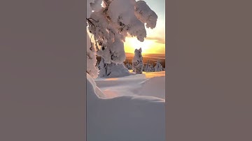 #قرآن تلاوة حجازية للشيخ 💢عمر القزابري 💢