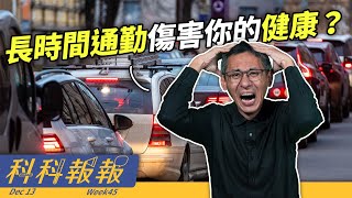 人類史前時代就開始吃迷幻蘑菇了？狗狗長壽藥要問世了！？ 【科科報報】