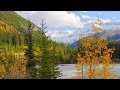 "Escape Into Nature Stunning Autumn Scenery with Relaxing Music for Peaceful Moments"