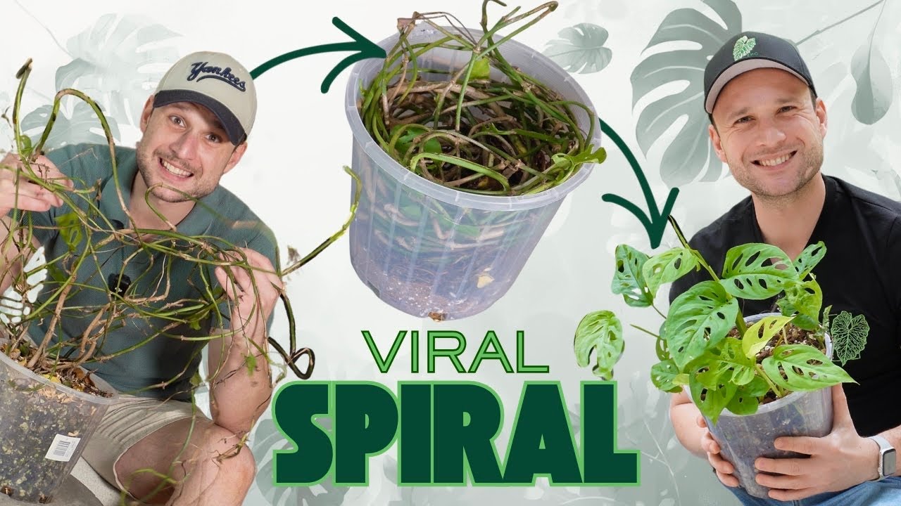 LEGGY to LUSH without cutting - This Hack is Genius