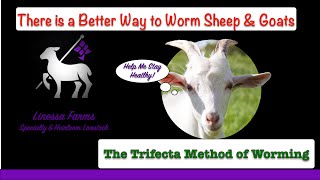 Worming Sheep and Goats:  The Linessa Farms Trifecta Method