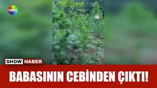 Fındık Değil Zehir Bahçesi